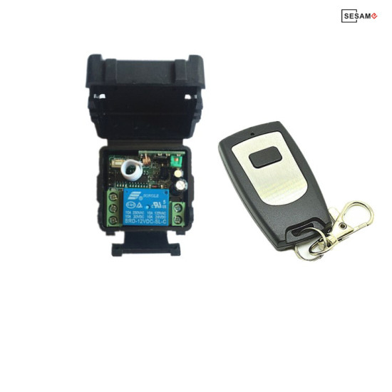 FS.ACCESS ΔΕΚΤΗΣ ΜΕ CONTROL (RC1)