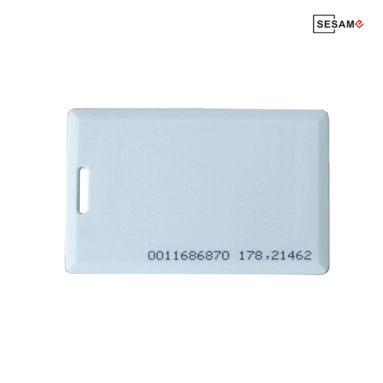 FS.ACCESS ΚΑΡΤΑ TEMIC (EM-01B)