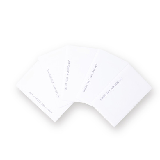FS.ACCESS ΚΑΡΤΑ TEMIC (EM-01B)