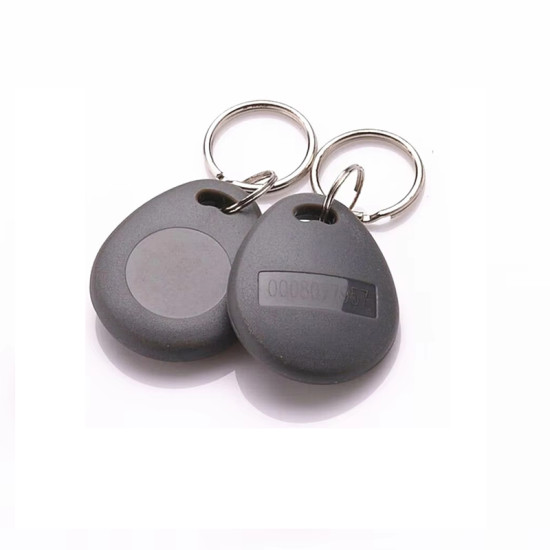 FS.ACCESS KEY-TAG GREY (EM-04G)